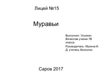 Муравьи. Характеристика и строение муравья