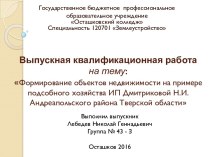 Квалификационная работа. Формирование объектов недвижимости на примере подсобного хозяйства ИП Дмитриковой Н.И