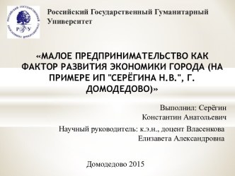 Малое предпринимательство как фактор развития экономики города (на примере ИП Серегина Н.В., г. Домодедова)