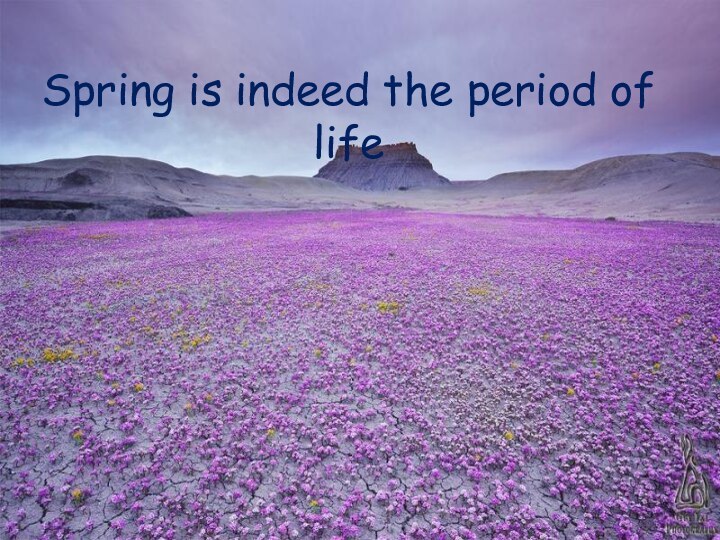 Spring is indeed the period of life
