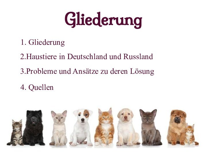 Gliederung  1. Gliederung 2.Haustiere in Deutschland und Russland 3.Probleme und Ansätze