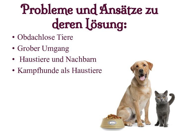Probleme und Ansätze zu deren Lösung:Obdachlose TiereGrober Umgang Haustiere und NachbarnKampfhunde als Haustiere