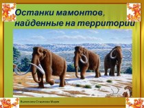 Останки мамонтов, найденные на территории России