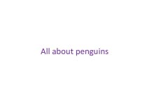All about penguins