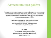 Аттестационная работа. Программа Основы учебно-исследовательской и проектной деятельности