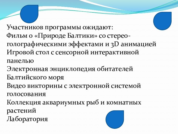 Участников программы ожидают:Фильм о «Природе Балтики» со стерео-голографическими эффектами и 3D анимациейИгровой