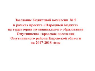 Заседание бюджетной комиссии № 5 в рамках проекта Народный бюджет на территории Омутнинского городского поселения