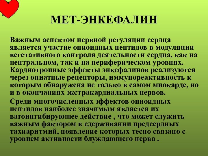 МЕТ-ЭНКЕФАЛИН   Важным аспектом нервной регуляции сердца является участие опиоидных пептидов