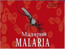 Малярия. Возбудитель малярии