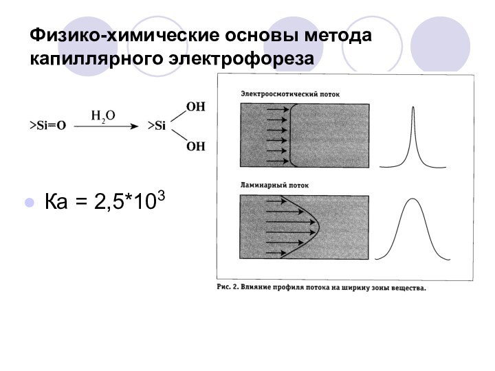 Физико-химические основы метода капиллярного электрофорезаКа = 2,5*103