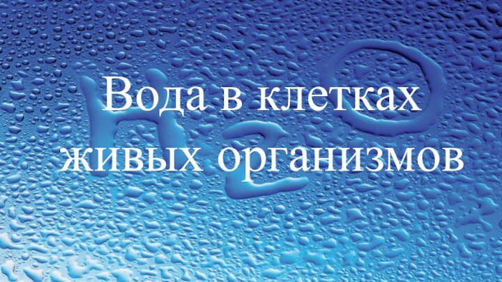 Вода в клетках живых организмов