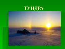 Тундра