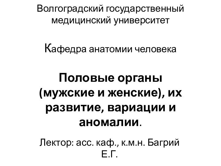 Волгоградский государственный медицинский университет  Кафедра анатомии человека   Половые органы