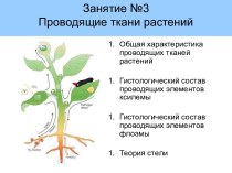 Проводящие тани растений