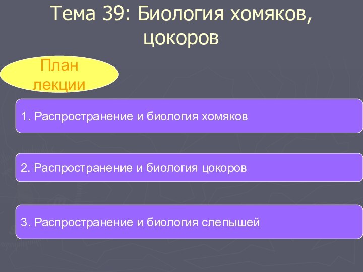 Тема 39: Биология хомяков, цокоровПлан лекции1. Распространение и биология хомяков2. Распространение и