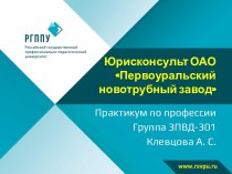 Отраслевая принадлежность профессиональной деятельности юрисконсульта ОАО ПНТЗ