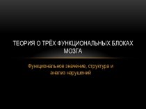 Теория о трёх функциональных блоках мозга. Функциональное значение, структура и анализ нарушений