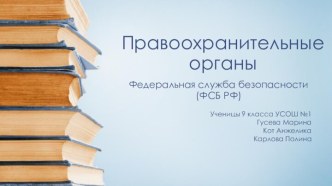 Правоохранительные органы. Федеральная служба безопасности (ФСБ РФ)