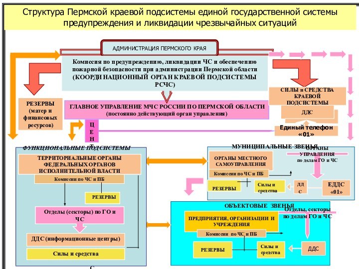 *Структура Пермской краевой подсистемы единой государственной системы предупреждения и ликвидации чрезвычайных ситуаций