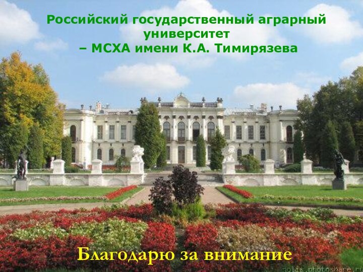 Российский государственный аграрный университет – МСХА им. К.А. ТимирязеваБлагодарю за вниманиеРоссийский государственный