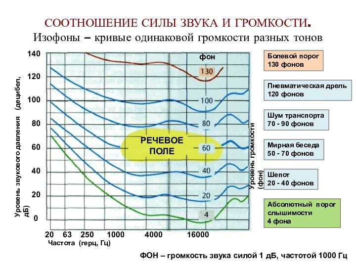 СООТНОШЕНИЕ СИЛЫ ЗВУКА И ГРОМКОСТИ. Изофоны – кривые одинаковой громкости разных тонов140120100