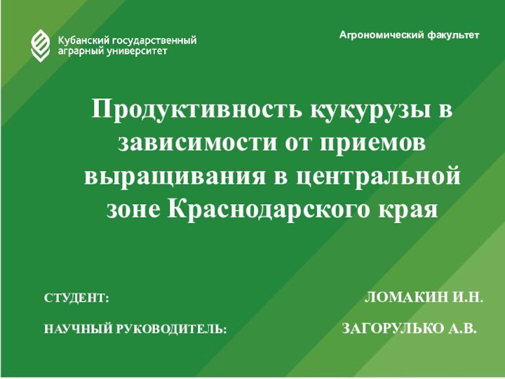 Агрономический факультет Продуктивность кукурузы в зависимости от приемов выращивания в центральной зоне