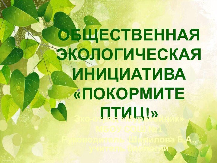 ОБЩЕСТВЕННАЯ ЭКОЛОГИЧЕСКАЯ ИНИЦИАТИВА «ПОКОРМИТЕ ПТИЦ!»Эко-отряд «Муравейник»МБОУ СОШ №1Руководитель Шипилова Е.А., учитель биологии