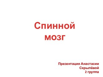 Спинной мозг