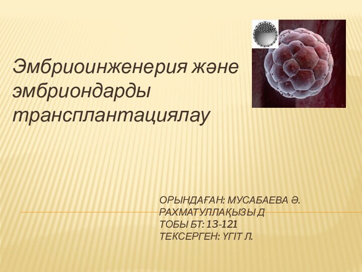 ОРЫНДАҒАН: МУСАБАЕВА Ә. РАХМАТУЛЛАҚЫЗЫ Д ТОБЫ БТ: 13-121 ТЕКСЕРГЕН: ҮГІТ Л.Эмбриоинженерия және эмбриондарды трансплантациялау