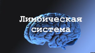 Лимбическая система