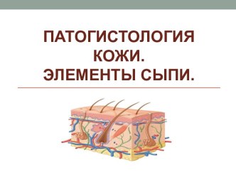 Патогистология кожи. Элементы сыпи