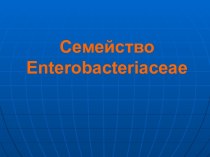 Семейство Enterobacteriaceae. Систематика
