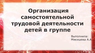 Организация самостоятельной трудовой деятельности детей в группе