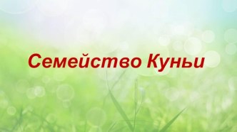 Семейство Куньи