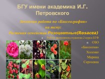 Растения семейства розоцветные