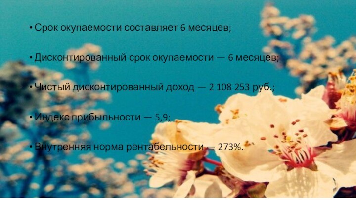 Срок окупаемости составляет 6 месяцев;Дисконтированный срок окупаемости — 6 месяцев;Чистый дисконтированный доход