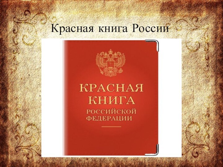 Красная книга России