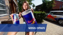 Key facts update. Wings team
