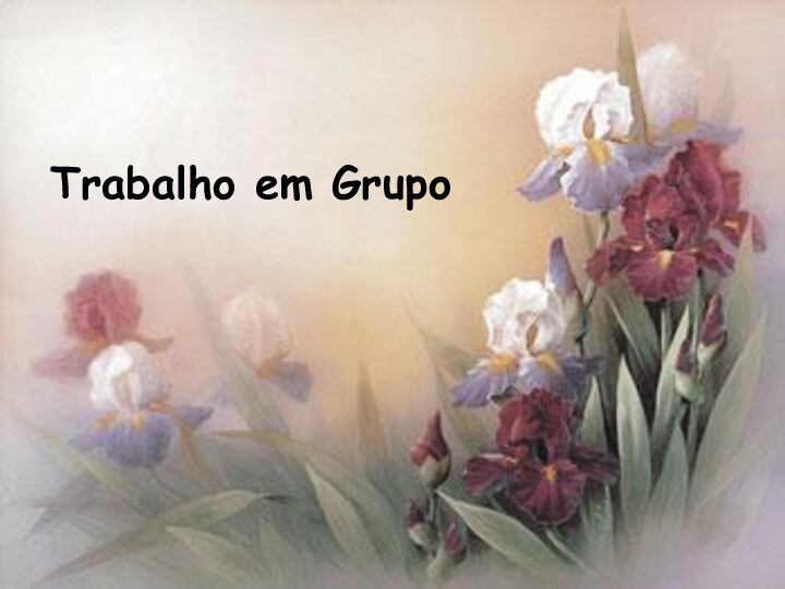 Trabalho em Grupo