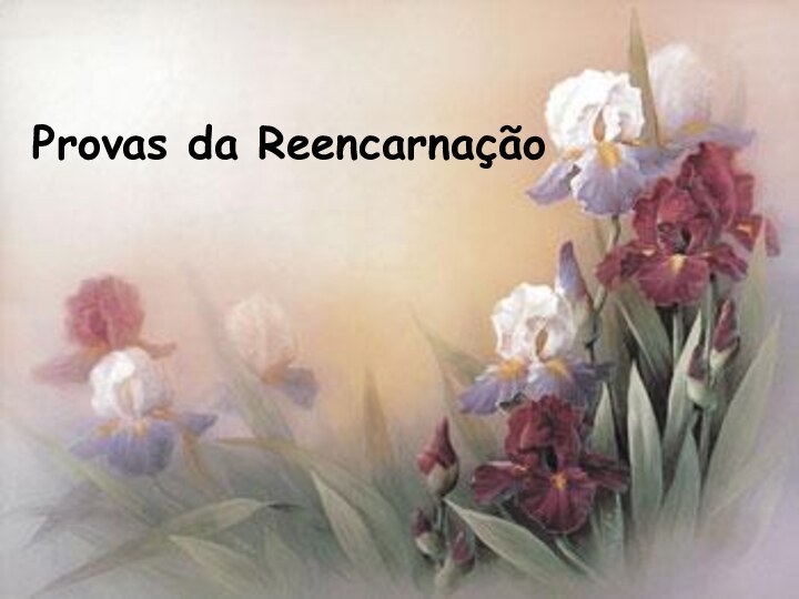 Provas da Reencarnação