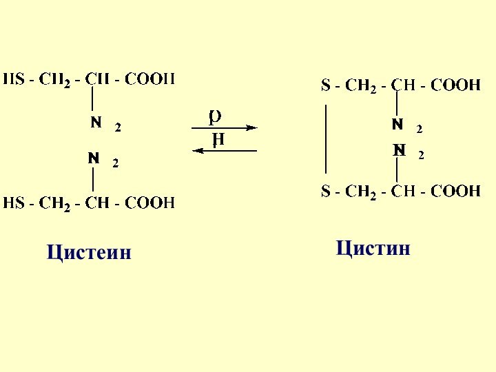 ЦистеинЦистин