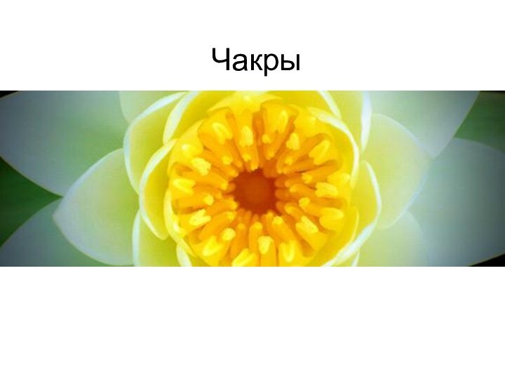 Чакры