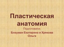 Пластическая анатомия. Золотое сечение