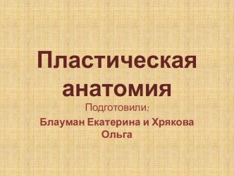 Пластическая анатомия. Золотое сечение