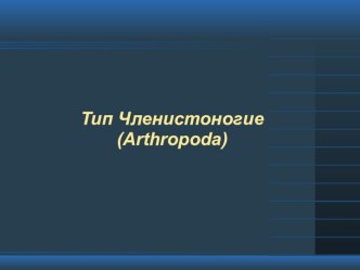 Тип Членистоногие (Arthropoda). Ракообразные