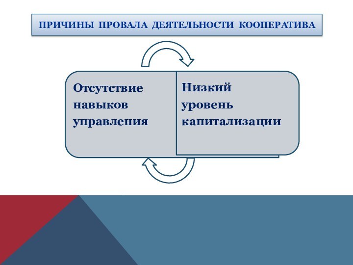 ПРИЧИНЫ ПРОВАЛА ДЕЯТЕЛЬНОСТИ КООПЕРАТИВА