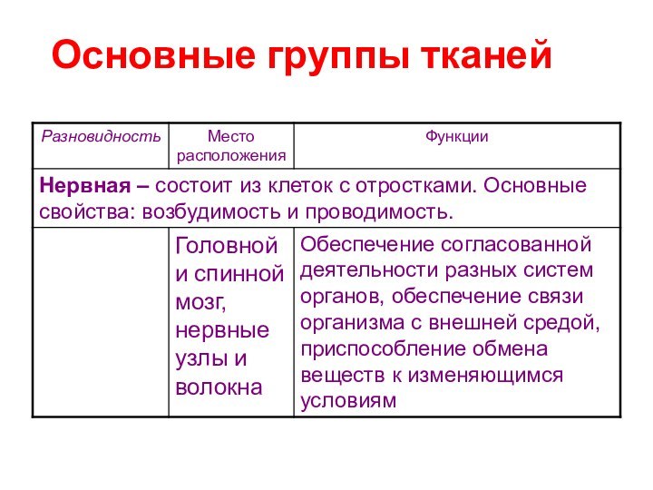 Основные группы тканей