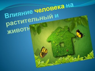 Влияние человека на растительный и животный мир