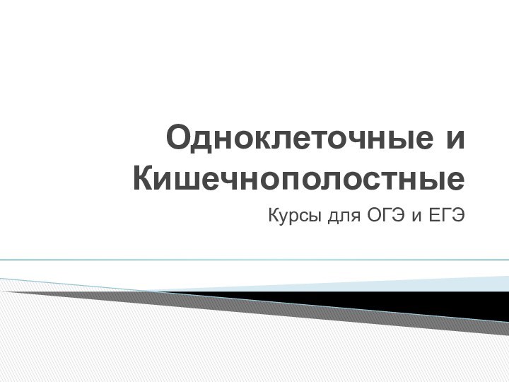 Одноклеточные и КишечнополостныеКурсы для ОГЭ и ЕГЭ