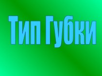 Тип Губки